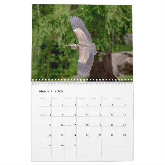 Calendrier Grand Héron bleu 2026 (Mar 2026)