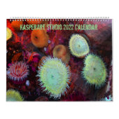 Calendrier GrandCalendrier de deux pages, blanc (Protection)