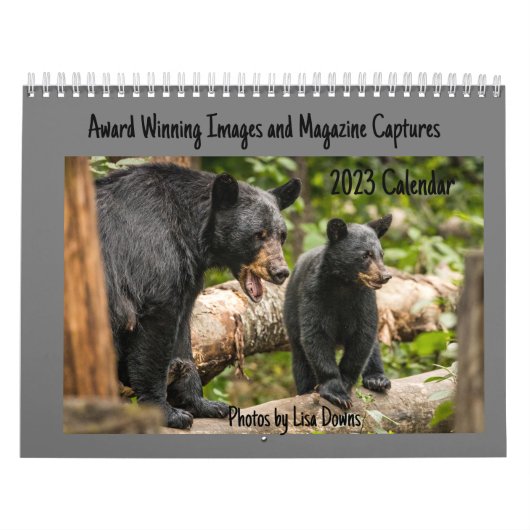 Calendrier GrandCalendrier de deux pages, blanc (Protection)