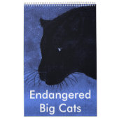 Calendrier Grands chats mis en danger (Protection)