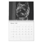 Calendrier Grands chiens en noir et blanc (Feb 2027)