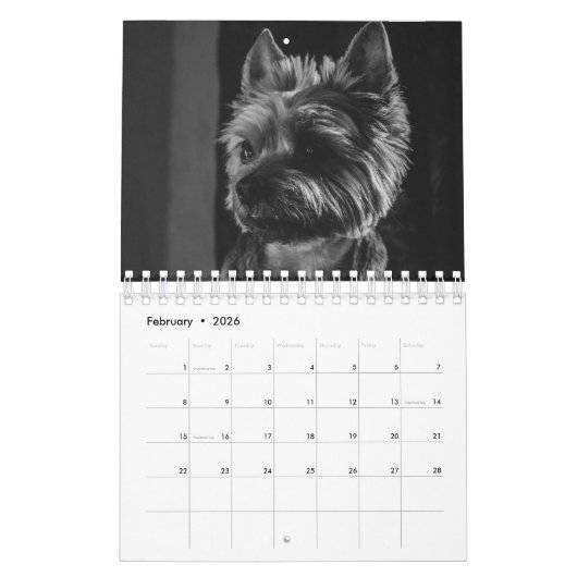 Calendrier Grands chiens en noir et blanc (Feb 2026)