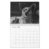 Calendrier Grands chiens en noir et blanc (Jan 2026)