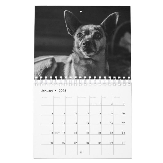 Calendrier Grands chiens en noir et blanc (Jan 2026)