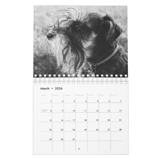Calendrier Grands chiens en noir et blanc (Mar 2026)