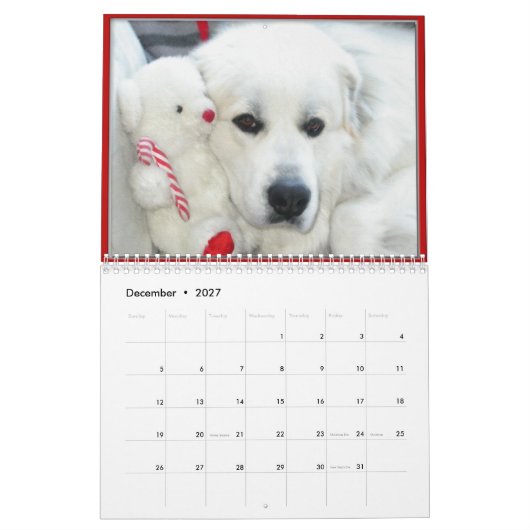Calendrier Great Pyrenees Calendar (Dec 2027)
