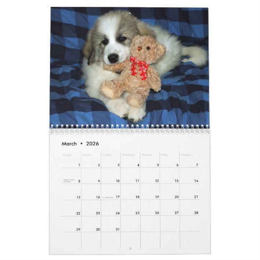 Calendrier Great Pyrenees Puppy Calendar (Mar 2026)