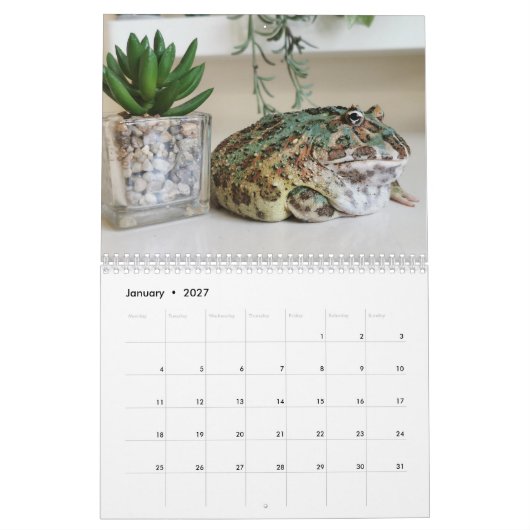 Calendrier Grenouille Pacman Blobbi (Jan 2027)