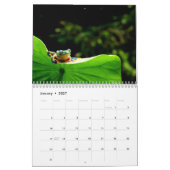 calendrier grenouilles 2027 (Jan 2027)