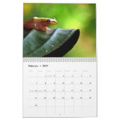calendrier grenouilles 2027 (Feb 2027)