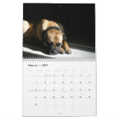 Calendrier Greta Splendens : Très probablement le meilleur (Feb 2027)