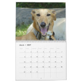 Calendrier Greyhound (Mar 2027)
