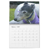 Calendrier Greyhound (Feb 2027)
