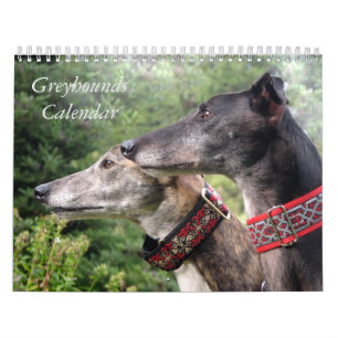 Calendrier Greyhound