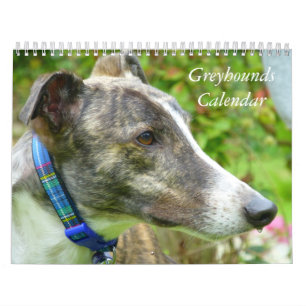 Calendrier Greyhound