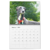 Calendrier Greyhound (Feb 2027)