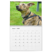 Calendrier Greyhound (Mar 2027)