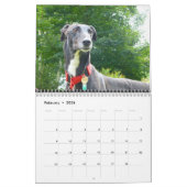 Calendrier Greyhound (Feb 2026)