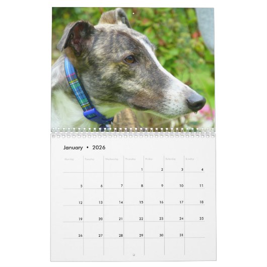 Calendrier Greyhound (Jan 2026)