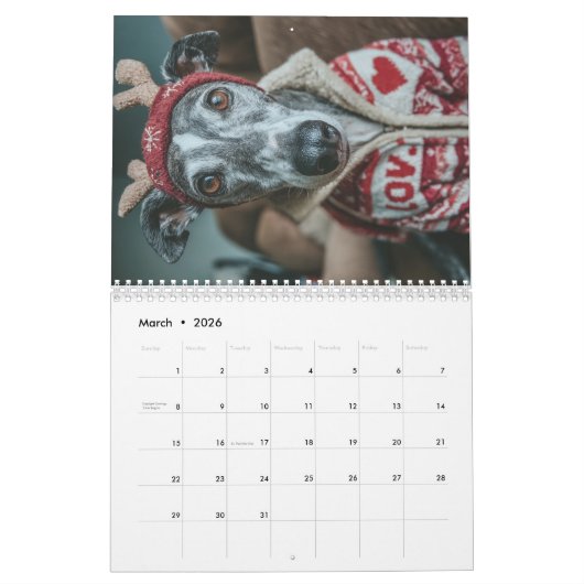 Calendrier Greyhound (Mar 2026)