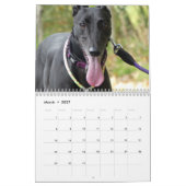 Calendrier Greyhound (Mar 2027)
