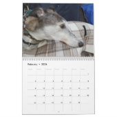 Calendrier Greyhound (Feb 2026)