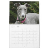 Calendrier Greyhound (Jan 2026)