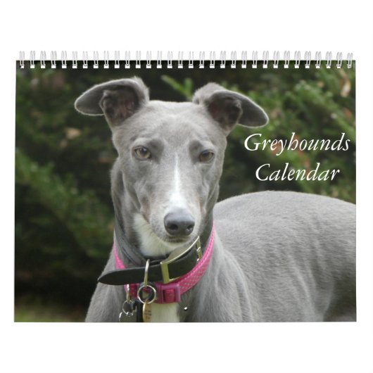 Calendrier Greyhound (Protection)