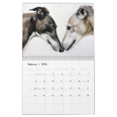 Calendrier Greyhounds, chaque année (Feb 2026)
