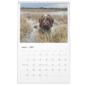 Calendrier Griffologie 2024 ! (Mar 2027)