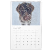 Calendrier Griffologie 2024 ! (Jan 2027)