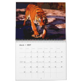 Calendrier Gros Chats (Mar 2027)