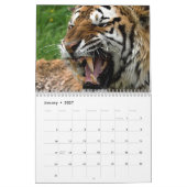 Calendrier Gros Chats (Jan 2027)