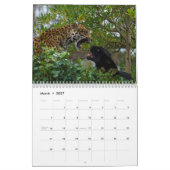 Calendrier Gros Chats 2026 Et Plus (Mar 2027)