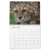 Calendrier Gros Chats 2026 Et Plus (Jan 2027)