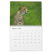 Calendrier Gros Chats 2026 Et Plus (Feb 2027)