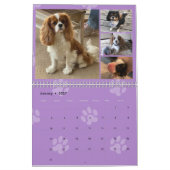 Calendrier Groupe FB Cavalier King Charles Spaniel (Jan 2027)