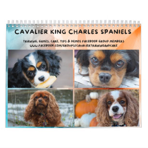 Calendrier Groupe FB Cavalier King Charles Spaniel
