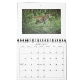 Calendrier guépards, NORPHLET, LEOPARDS (Mar 2027)