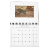 Calendrier guépards, NORPHLET, LEOPARDS (Feb 2027)