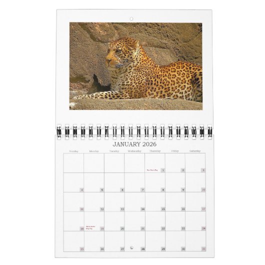 Calendrier guépards, NORPHLET, LEOPARDS (Jan 2026)
