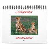 Calendrier guépards, NORPHLET, LEOPARDS (Protection)