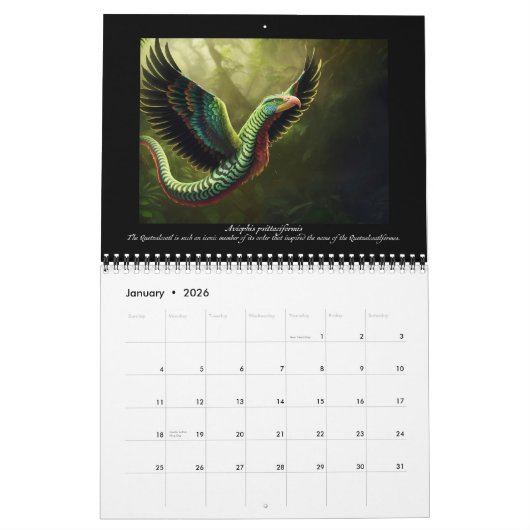 Calendrier Guide Illustré Des Gryphiformes Volume 4 (Jan 2026)