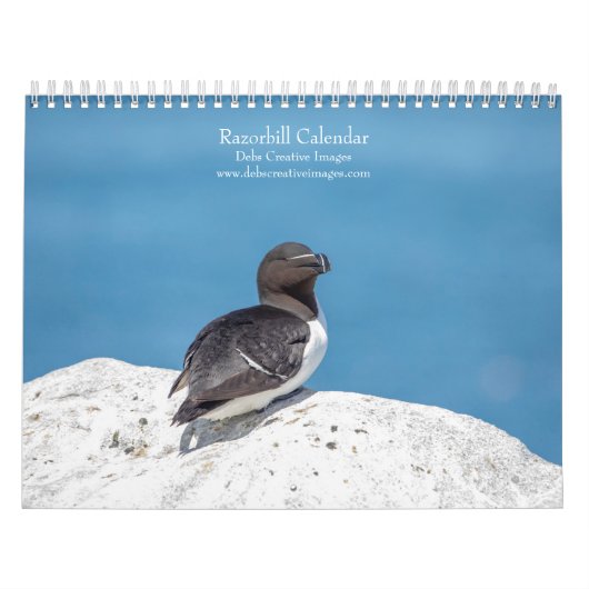 Calendrier Guillemot à bec noir 2026 (Protection)
