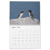 Calendrier Guillemot à bec noir 2026 (Feb 2027)