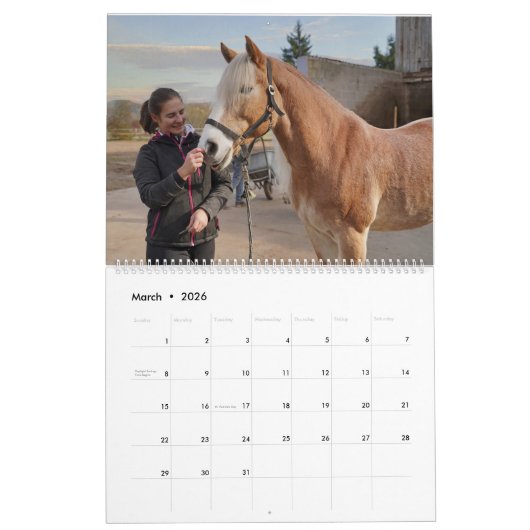 Calendrier Haflinger (Mar 2026)