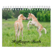 Calendrier Haflinger Foals - petite taille (Protection)