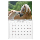 Calendrier Haflinger Foals - petite taille (Feb 2026)