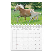 Calendrier Haflinger Foals - petite taille (Jan 2026)