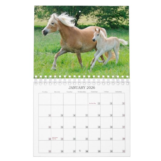 Calendrier Haflinger Foals - petite taille (Jan 2026)